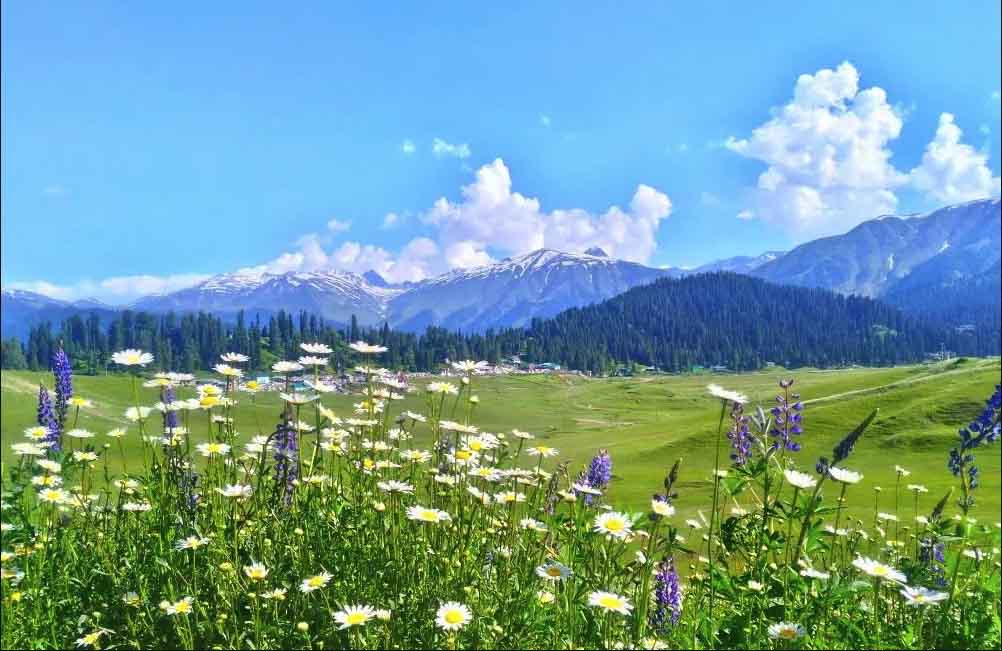 summer-holidays-in-kashmir